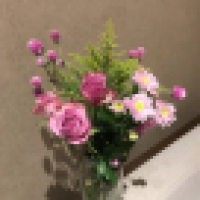 植发星outdoortheref