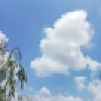 植发星nsuclil10375