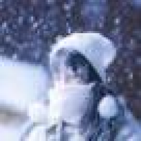 植发星loveraul0772