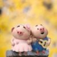 植发星k_hmylm0106