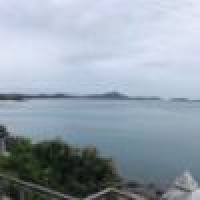 植发星longtianfei88