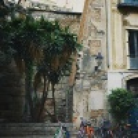 植发星shi一样的生活7