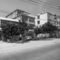 植发星Mc妖孽585