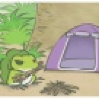 植发星freeangle12