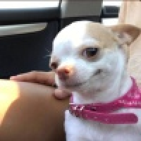 植发星maradona135