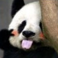 植发星minxiangxiang8