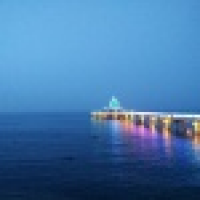 植发星TVB七妹er