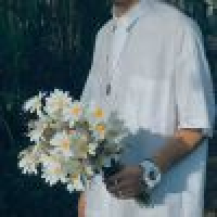 植发星wvlwebd88481