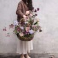 植发星nnpqjzg55563