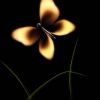 植发星QQ_qzuser_QVmYL