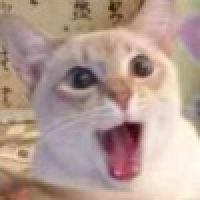 植发星fangyong548080