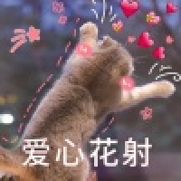 植发星heart例外