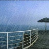 植发星tofqiws75263