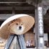 植发星xueliyingtao10