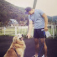 植发星gaomengjiaty