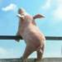 植发星tj517jv9rjb