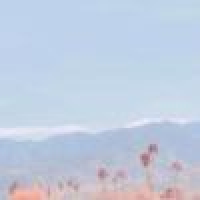 植发星junqze徐沫Clai