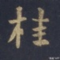 植发星monitor淘宝饰