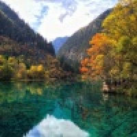 植发星WOSHIzqb2012