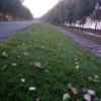 植发星v糖love糖甜