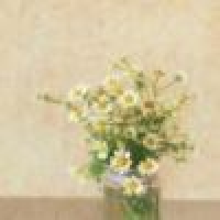 植发星WO芝麻糊