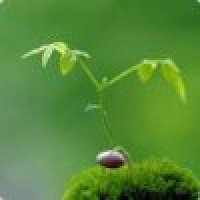 植发星sunny亲爱的你