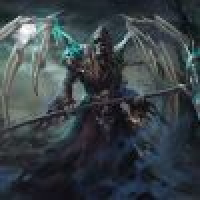 植发星一尾流莺6331