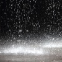 植发星三枝羊窄