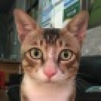 植发星TCD汽车俱乐部