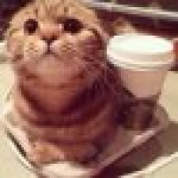 植发星☆你大爷☆dkfl