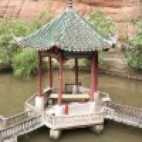 植发星zsy007007705