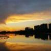 植发星不想睡觉i_