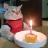 植发星shusheng1215