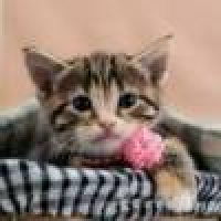 植发星ttanmdvs770541