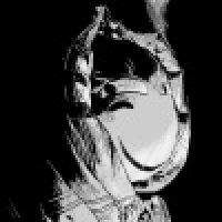 植发星世界之最m啲