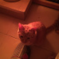 植发星icy_crystals