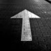 植发星wzl爱吃鱼