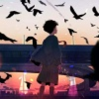 植发星中诚联发