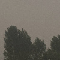 植发星jlaokhfb553