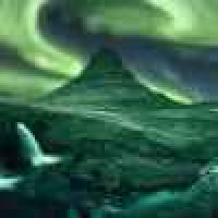 植发星kiki刷粉193