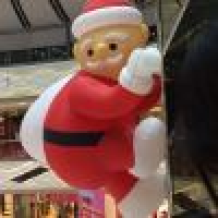 植发星zhangdvs250