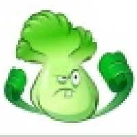 植发星乌尔奇奥拉585