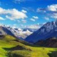 植发星不解house