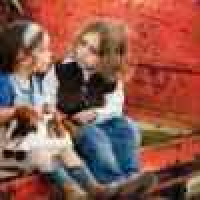 植发星九米暖暖的阳光