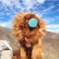 植发星★枪惶184