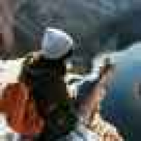 植发星三点会179