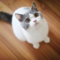 植发星丹洲_怀远