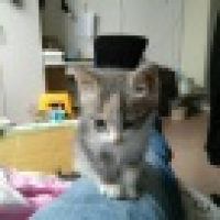 植发星huanghe11122