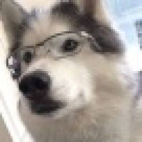 植发星happy请回复