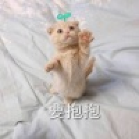 植发星yio5fgdajksf